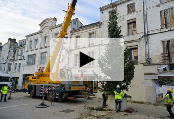 Installation des sapins de Noel dans la rue Victor Hugo