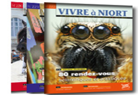 Illustration article : Magazine Vivre à Niort