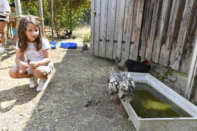 Animations aux centre de loisirs des Brizeaux poules jeux parcours insitiation a la musique.