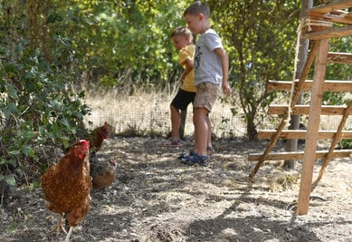 Animations aux centre de loisirs des Brizeaux poules jeux parcours insitiation a la musique.