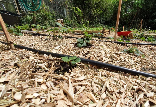 Atelier Jardin au naturel : Déposez vos branchages, repartez avec du broyat