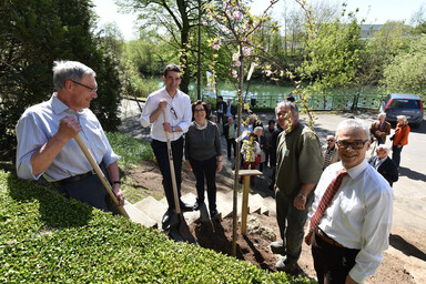 La plantation des 4 derniers arbres s'est déroulée vendredi 7 avril 2017, en présence des présidents des Lions Club niortais et du maire, Jérôme Baloge ©Bruno Derbord