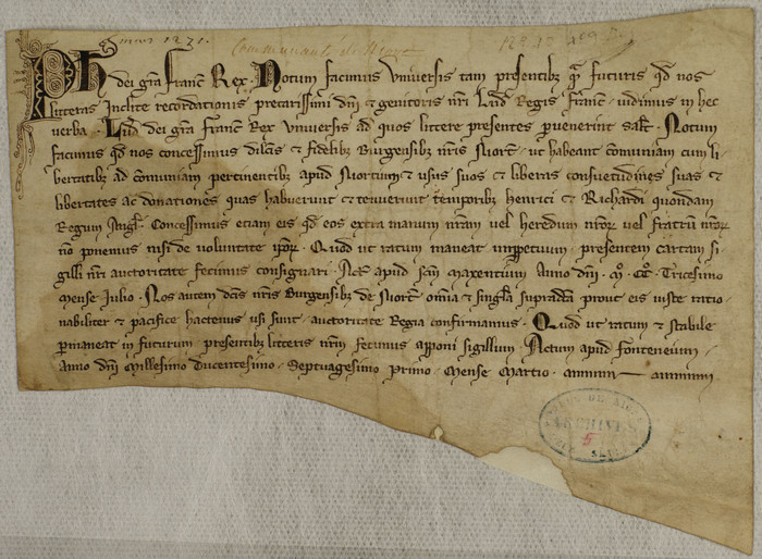 Lettres de Philippe le hardi confirmant le droit de commune de Niort, 1271 (ANC NI 5)