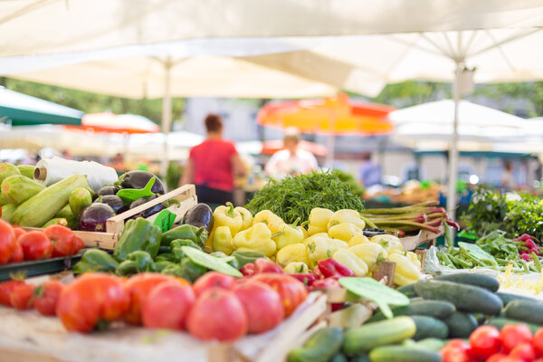 Farmers&#39; food market stall with variety of organic vegetable.