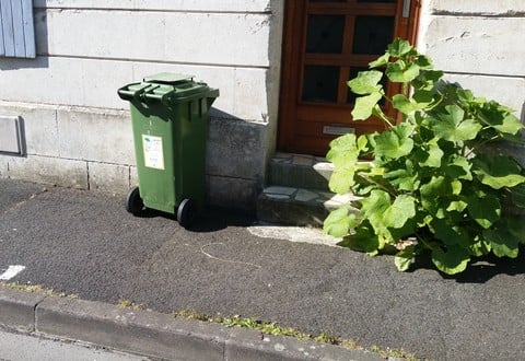 La collecte des déchets verts s’adapte à la saison - 