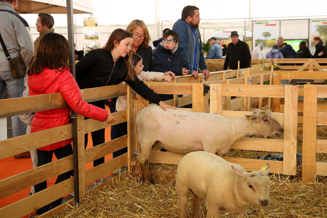 Niort Expo 2019