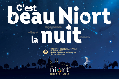 C'est beau Niort la nuit