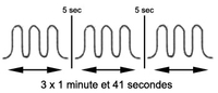 variation du signal sur trois cycles successifs d'une durée de 1 minute et 41 secondes.