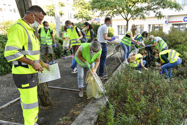 World clean up day nettoyage participatif des espaces urbains niortais