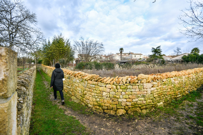 Chemin des brouettes © Darri