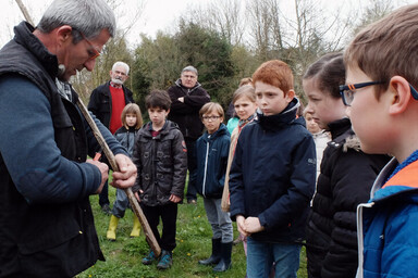 Plantation de peupliers dans le secteur de la ferme de Chey le 18 mars 2017 ©CBernard