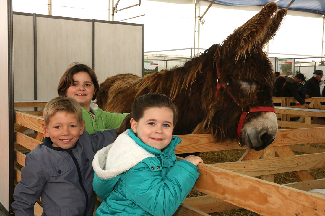 Niort Expo 2019