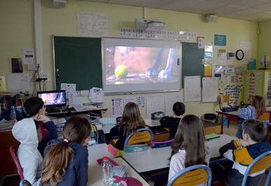 Projection de courts-metrages en classe pour le festival Cinema for change