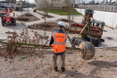 Chantier Gare 21.02.2025