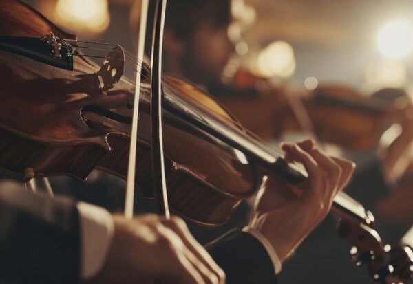 Talented musician playing violin cello in orchestra concert theatre opera musical talent skill classical music artistic performance string instrument intelligent person clear sound live show symphony