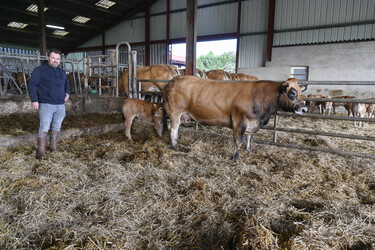 Mathieu Breillat eleveur de parthenaise a Coulon presente sa vache et son veau pour la preselection du Salon de l?Agriculture. EARL Breillat - vaches parthenaises