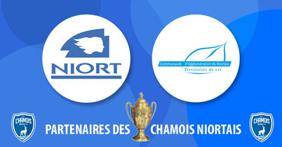 Coupe de France Chamois Niortais - PSG