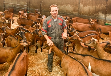 Sylvain Veillon au milieu de ses chèvres