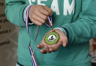 La médaille créée par l'école Jean-Macé représente trois feuilles sur fond blanc et vert entourées de la mention Ordre Ecolo-Macé