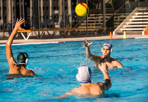 Illustration Téléthon 2024 : match de water-polo avec le Cercle des Nageurs de Niort - Match de waterpolo