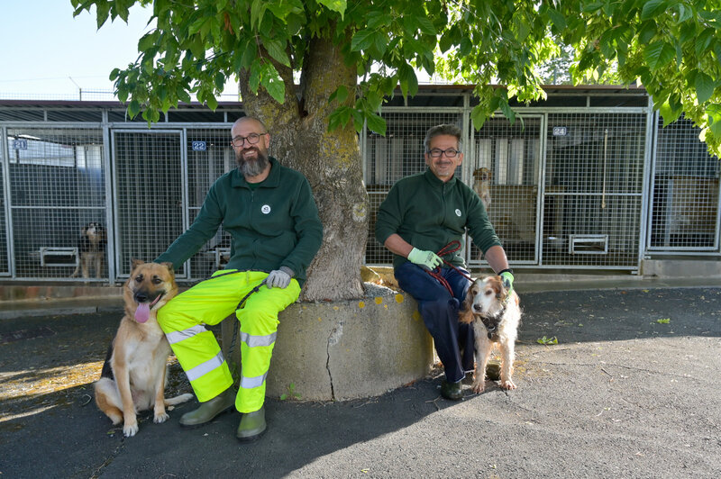 Fourriere et brigade animaliere