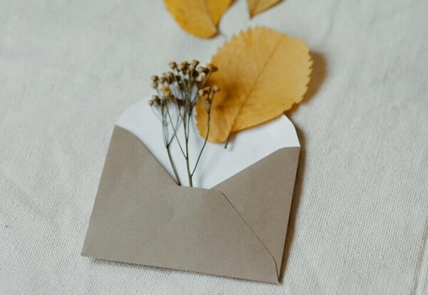 Feuilles d'automne dorées et petites fleurs séchées déposées dans une enveloppe kraft ouverte