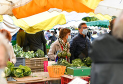 Marche de Niort