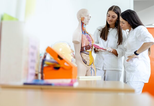 Deux étudiantes en blouse blanche examinent un mannequin anatomique aux organes apparents dans une salle de formation.