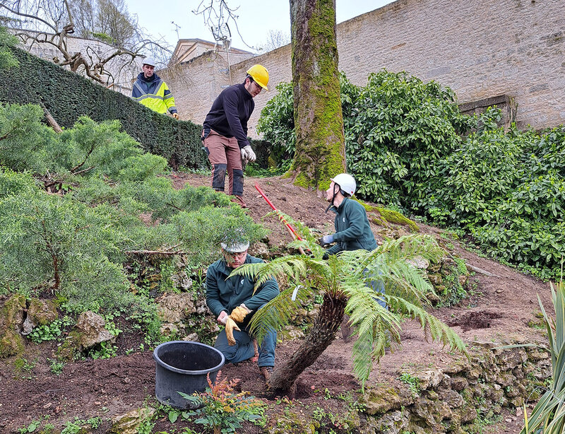 Plantations au Jardin des Plantes
