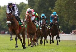 Coouse hippique