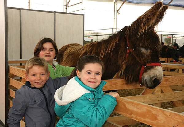 Niort Expo