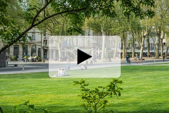 Habitants assis sur la pelouse de la Brèche, terrasses de cafés animées et passants sous les platanes en arrière-plan.
