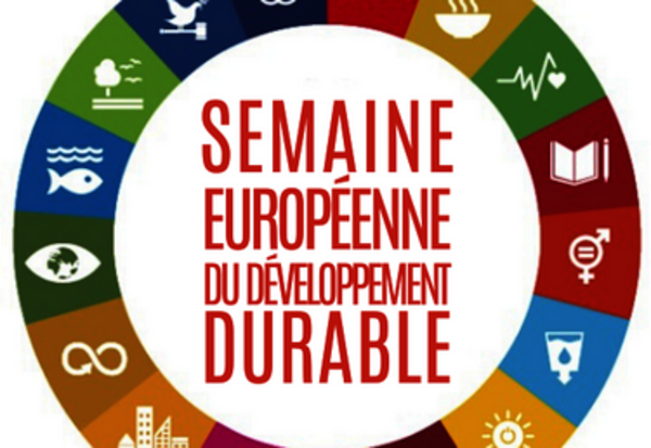 Logo officiel : roue des 17 icônes colorées des objectifs de développement durable de l'ONU