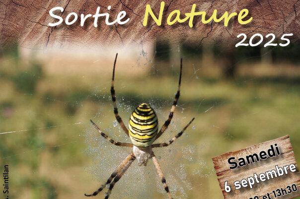 Illustration de la manifestation À la rencontre des araignées