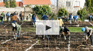 Plantation micro-foret