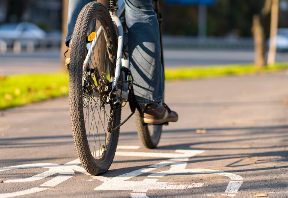 Cycle path in the city park. Bicycle sign on the road