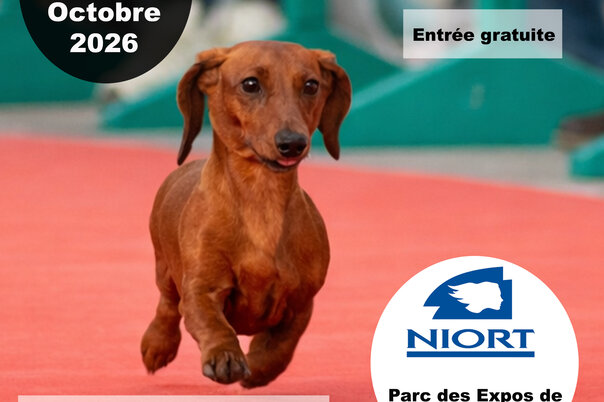 Illustration de la manifestation Exposition canine nationale
