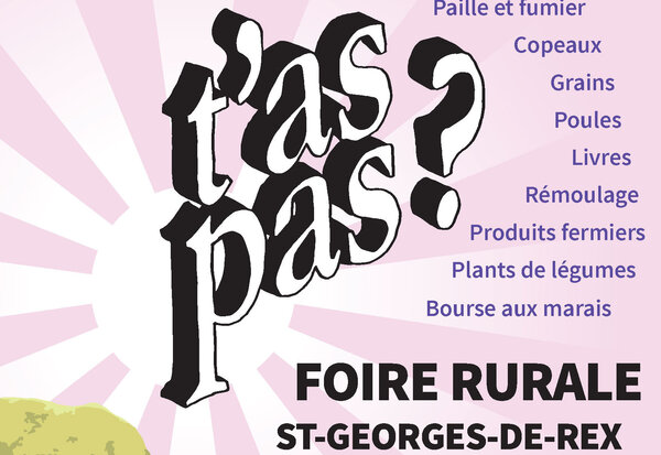 Affiche précisant des animations complémentaires : livres, rémoulage, bourse aux marais, buvette, chantier nichoirs, loto-bouse.