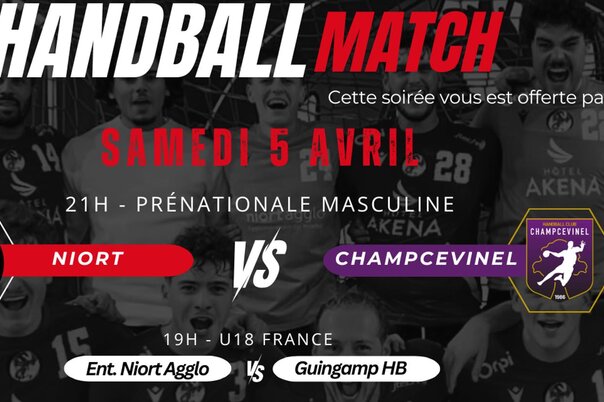 Illustration de la manifestation Soirée handball à Niort