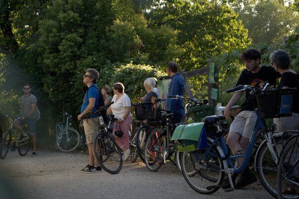Illustration de la manifestation Visites guidées à pied ou à vélo