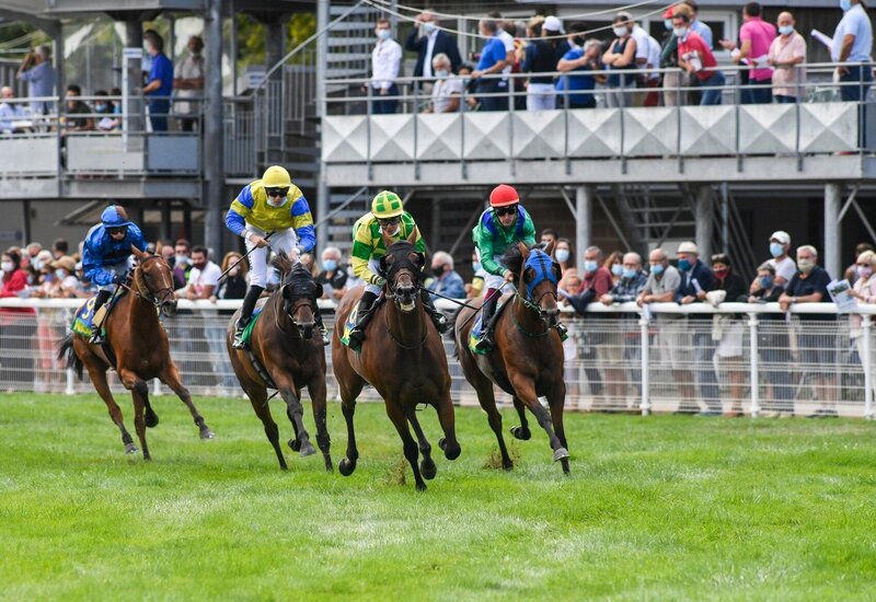 Course à l'hippodrome de Niort