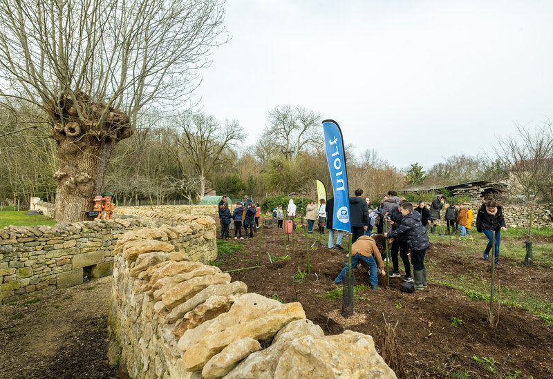 Plantation d’arbres au jardin-forêt gourmand du Chemin des Brouettes