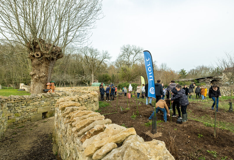 Plantation d?arbres par des eleves de l'ecole Jean-Mermoz pour la creation d'un jardin-foret gourmand a Souche