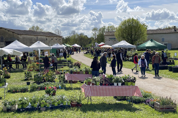 Illustration de la manifestation Fête des plantes : Printemps aux Jardins