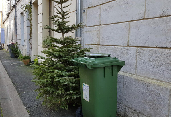 Niort Agglo collecte les sapins de Noël