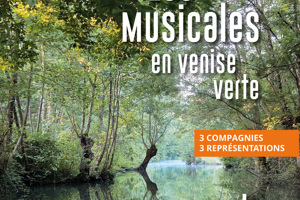 Illustration de la manifestation Les Musicales en Venise verte