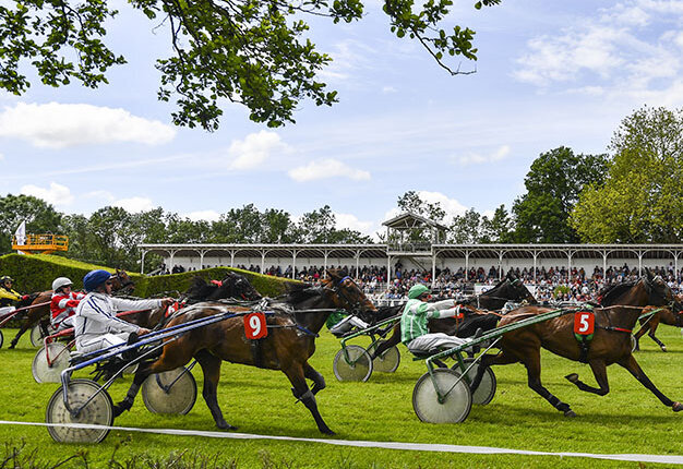 Courses hippiques de Romagné trophée vert courses trot attelé