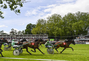 Courses hippiques de Romagné trophée vert courses trot attelé