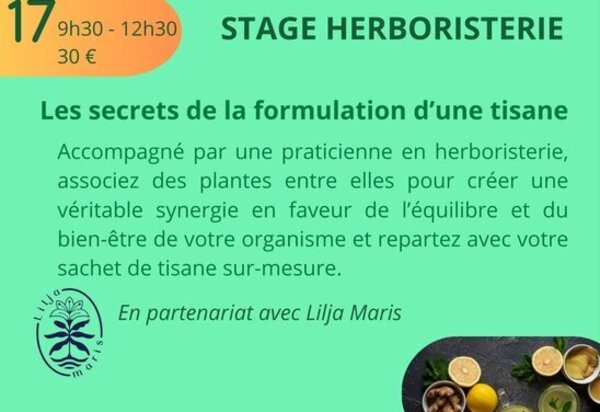 Affiche : stage herboristerie à 30 €, inscriptions via HelloAsso ou au 06 74 10 64 83, Prieuré des Arts, Saint-Rémy