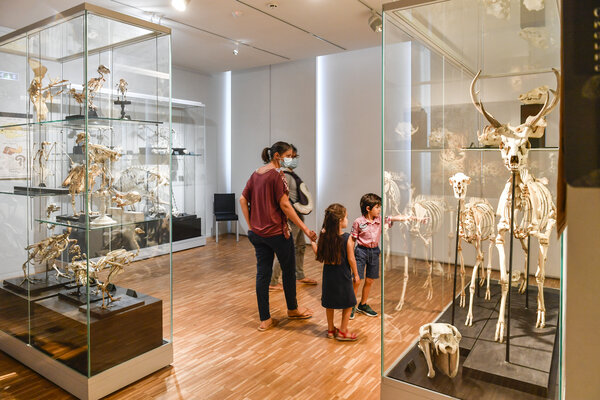 Journees du patrimoine au Musee Bernard d'Agesci